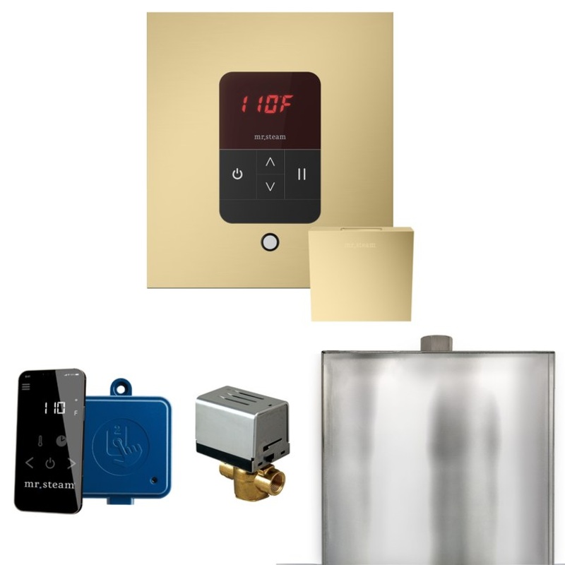 Steam Kit Basic Butler Satin Brass Control Package Square