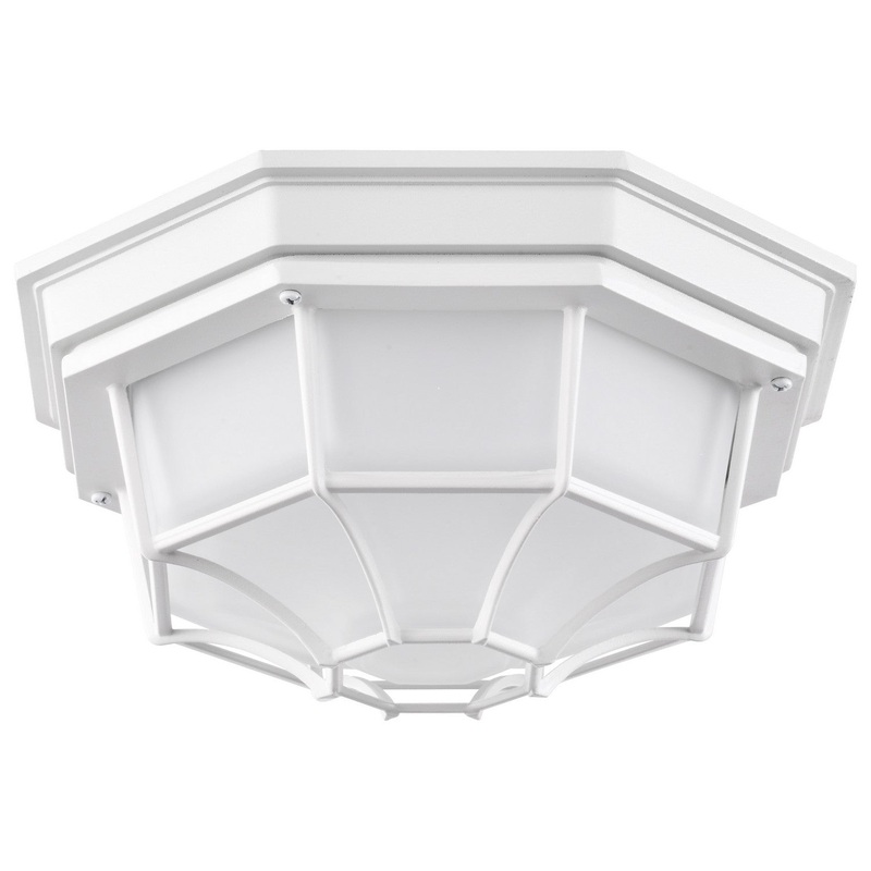 LED Spider Cage Fixture in White Finish by Nuvo Lighting