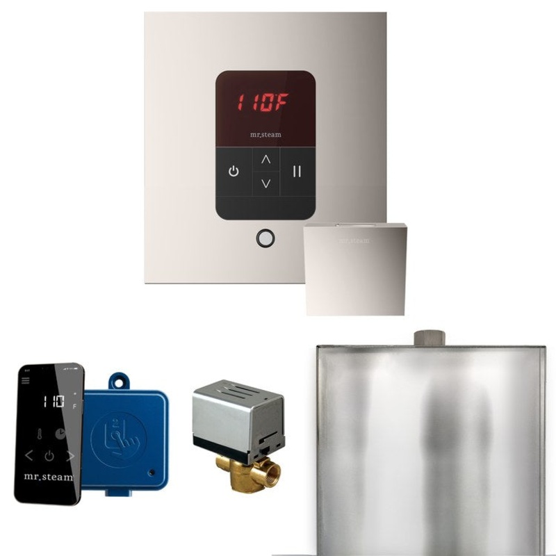 Steam Kit Basic Butler Polished Nickel Control Package Square