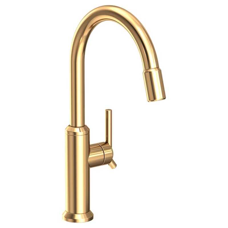 Kitchen Faucet Jeter 1 Lever ADA Polished Brass Uncoated Living Pull Down Spout Height 10-7/9 Inch 1.8 Gallons per Minute