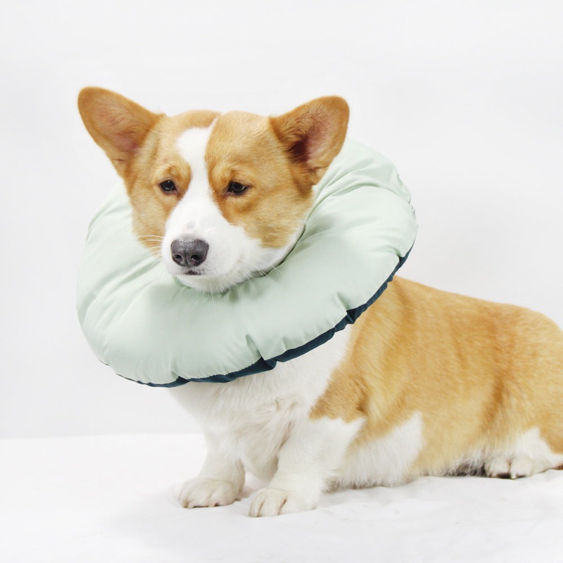 Green Adjustable Soft Elizabethan Collar for Pets – Comfortable Recovery Aid – S