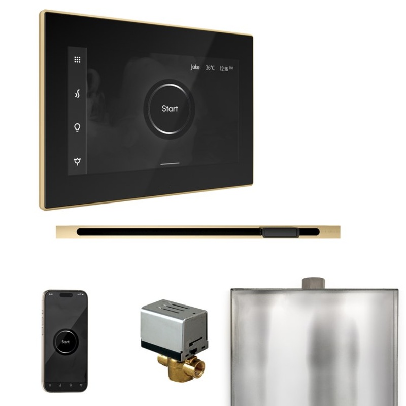 Steam Kit xButler Linear Black/Polished Brass Control Package for MS90 to MSSUPER3