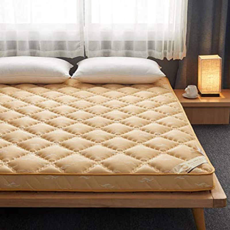 GLzcyoo Dormire Tatami Tappetino, dormitorio Materasso Pieghevole, Traspirante Futon Tatami Mattress Pad Soft Spessore Giapponese for dormitorio Materasso (Colore : M, Size : 100 * 200cm)