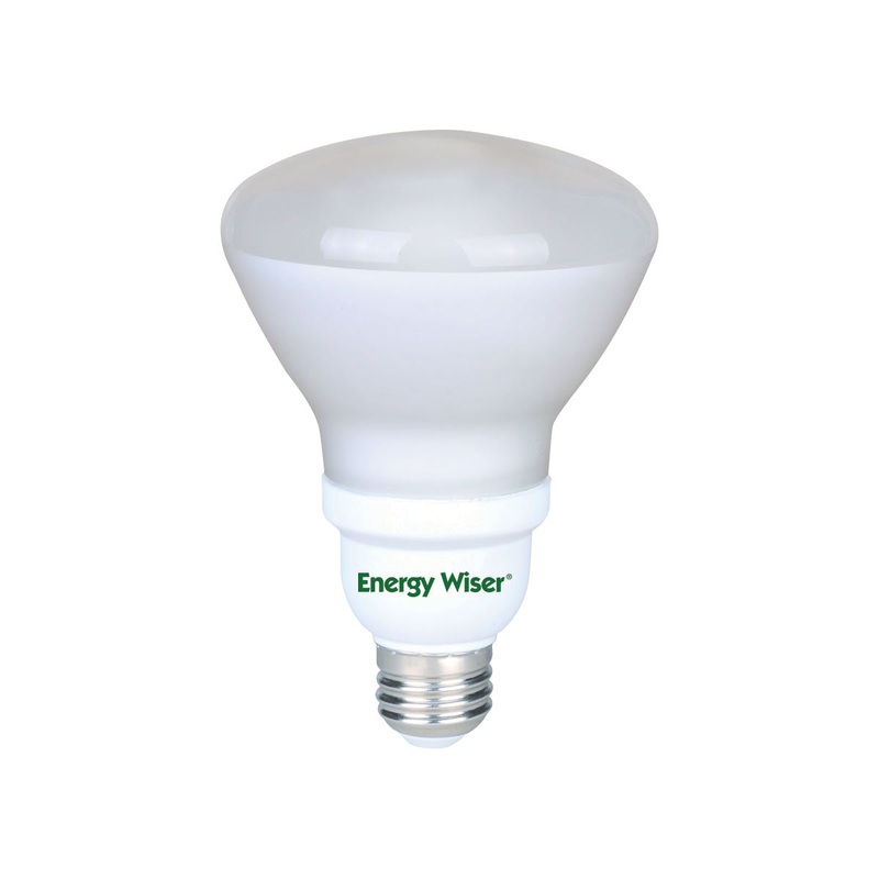 Bulbrite 511400 Energy Light Bulb Frost (Discontinued)