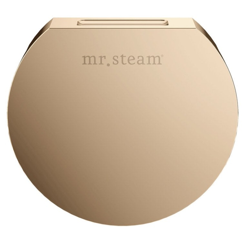 Steamhead Aroma Designer Finish Round with Aromatherapy Reservoir Solid Brass Polished Gold 3 Inch