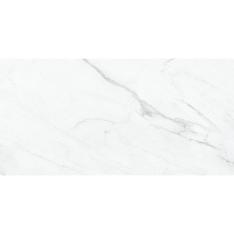 12″ x 24″ Altezza Carrara Matte Porcelain Tile 69-993