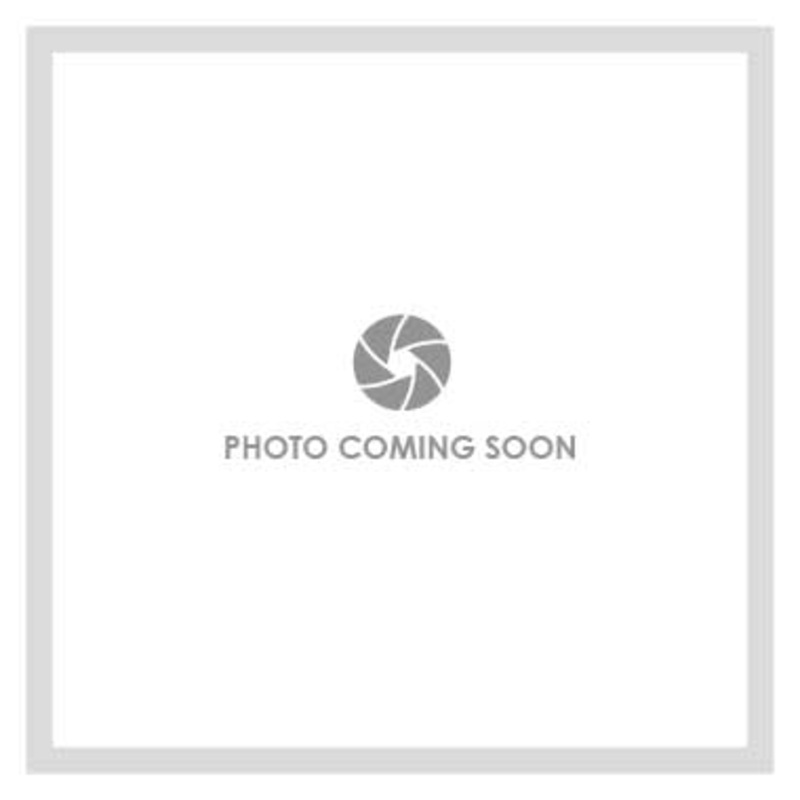 Handshower Nest Trillian Lumicoat Chrome 1-1/5 Inch