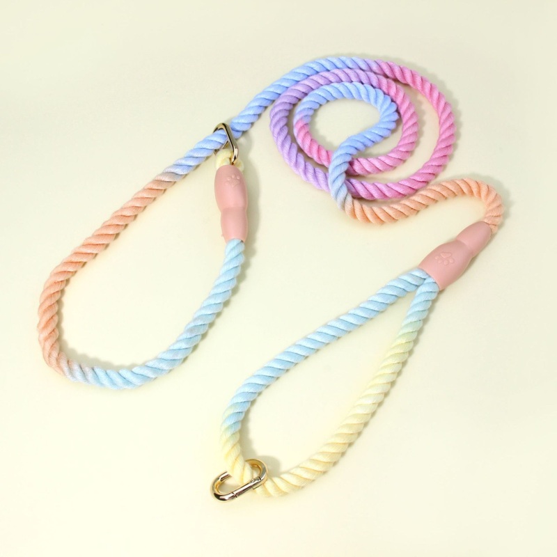 Colorful Vibrant Rainbow Ombre Rope Dog Leash – Durable Nylon P-Chain Slip Lead for Small & Medium Breeds