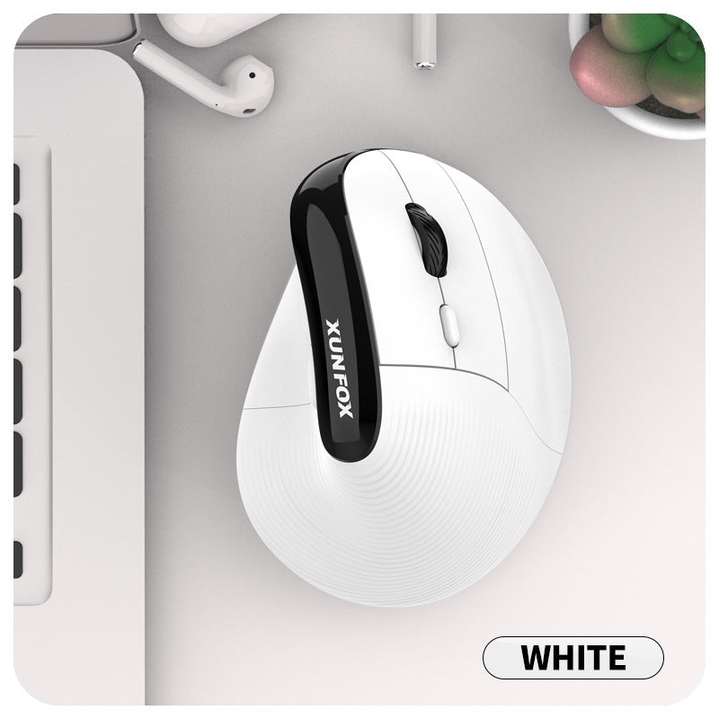 Two Ergonomic Vertical Wireless Mouse – Dual Mode (2.4G & Bluetooth), 5 Adjustable DPI, Silent Clicks, Rechargeable(white)