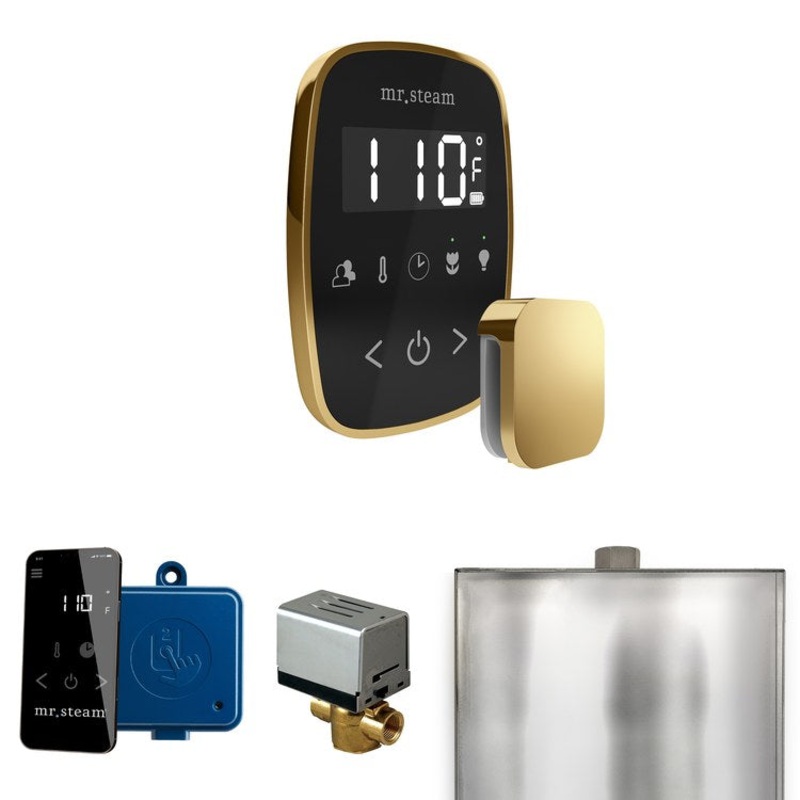 Steam Kit ButlerFlex Black/Polished Brass Control Package for MS90 to MSSUPER3