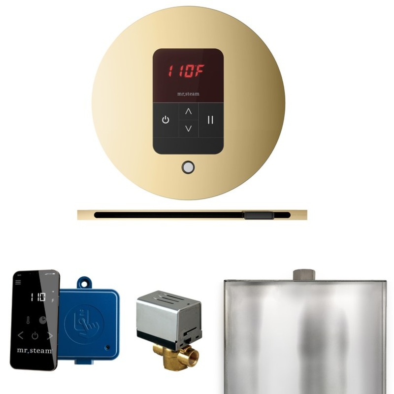 Steam Kit Basic Butler Linear Polished Brass Control Package Linear Round