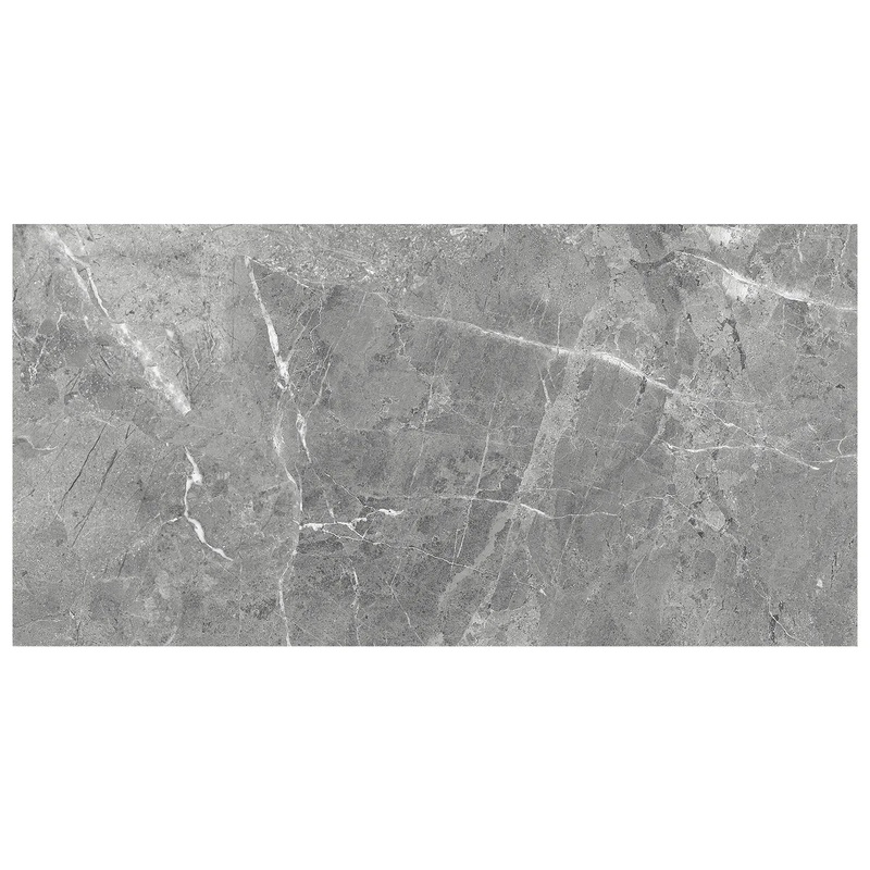 12″ x 24″ Regency Carbon Matte Porcelain Tile 69-288