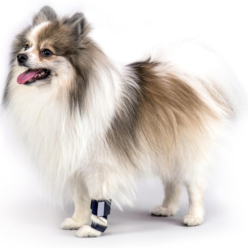 3 Pcs Size XXS Dark Blue Supportive Dog Leg Brace – Adjustable Carpal/Tarsal Splint for Injury & Arthritis Relief